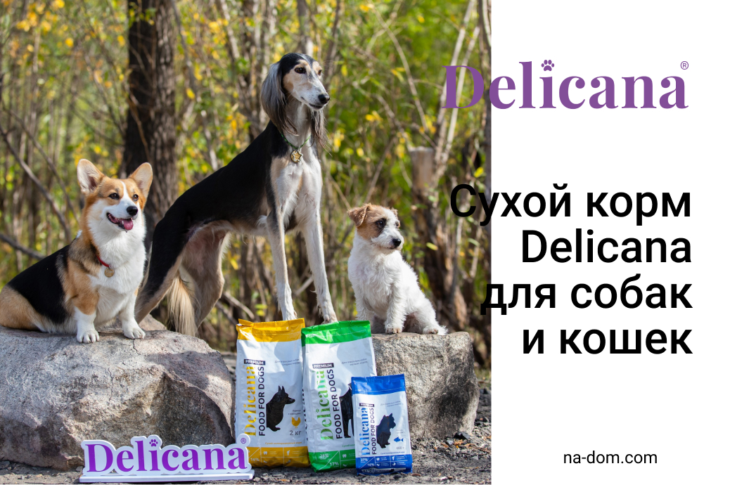 Сухой корм Delicana для собак и кошек