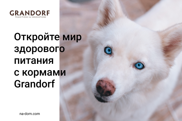 Сухой корм для собак и кошек Grandorf