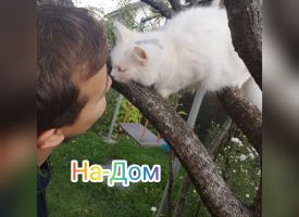  BWHRtgQbgU